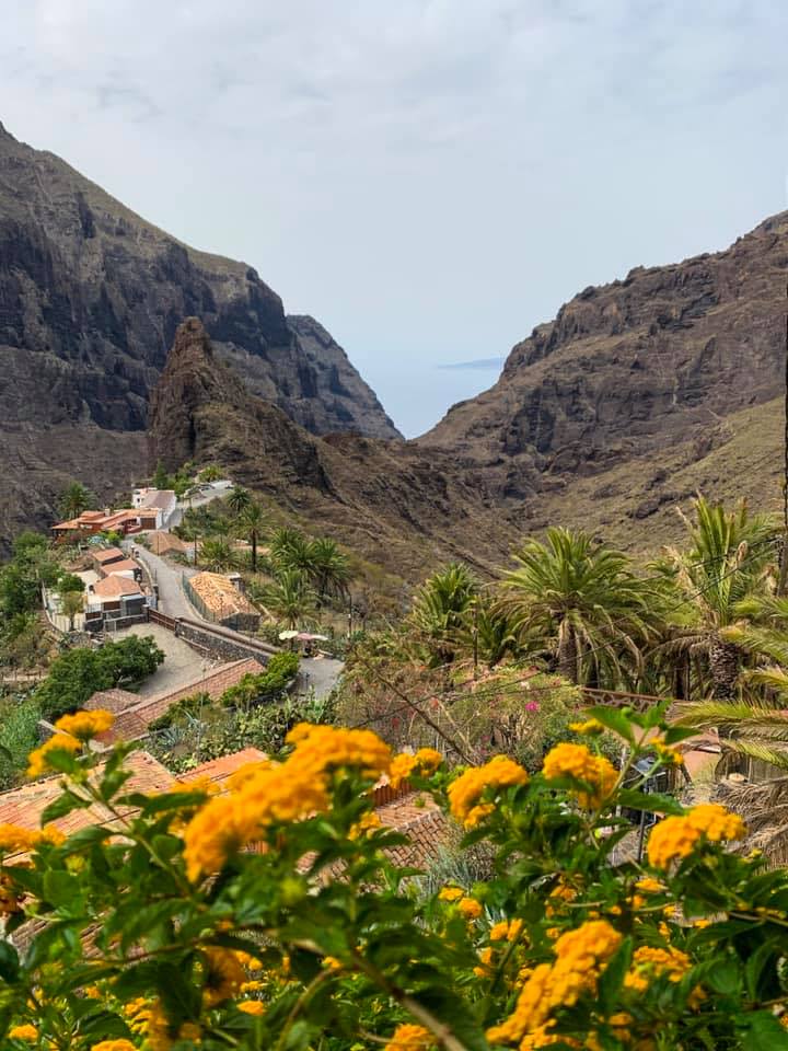 tenerife in de lente